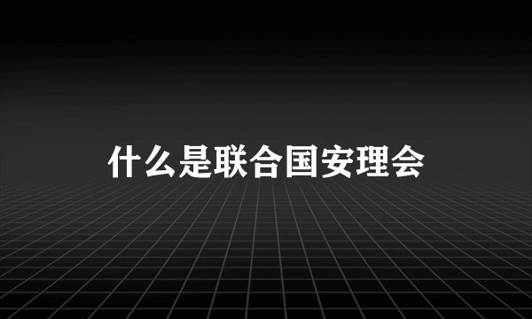 什么是联合国安理会