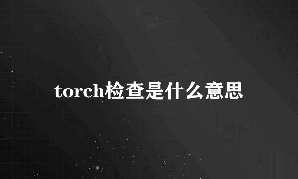 torch检查是什么意思