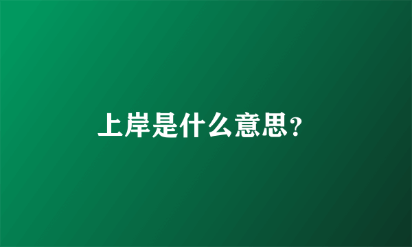 上岸是什么意思？