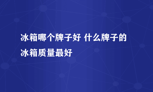 冰箱哪个牌子好 什么牌子的冰箱质量最好