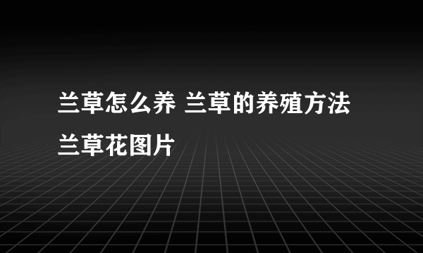 兰草怎么养 兰草的养殖方法 兰草花图片