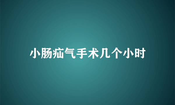 小肠疝气手术几个小时