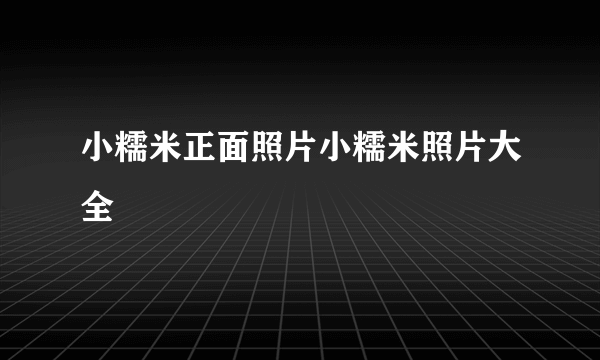 小糯米正面照片小糯米照片大全