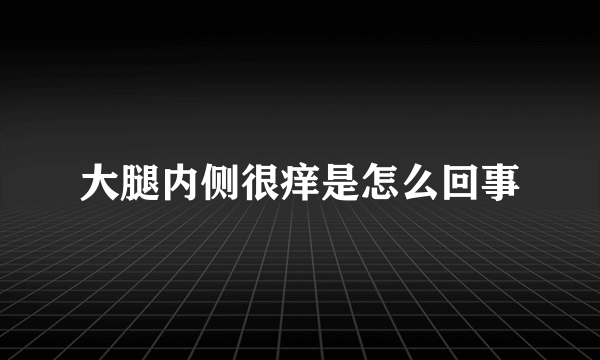 大腿内侧很痒是怎么回事