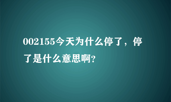 002155今天为什么停了，停了是什么意思啊？