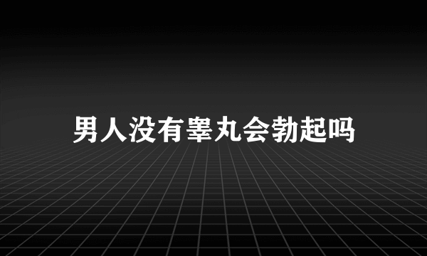 男人没有睾丸会勃起吗