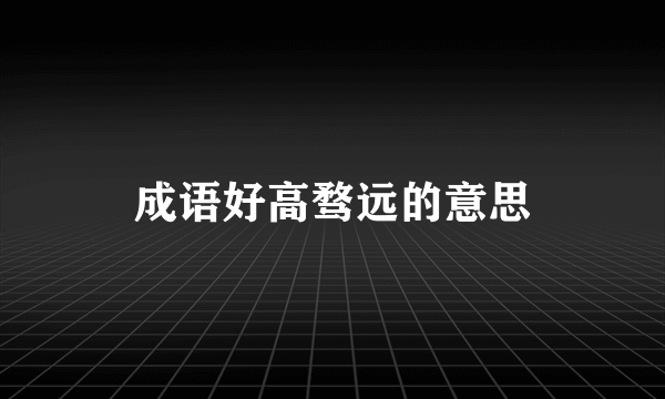 成语好高骛远的意思