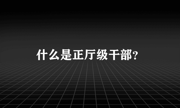 什么是正厅级干部？