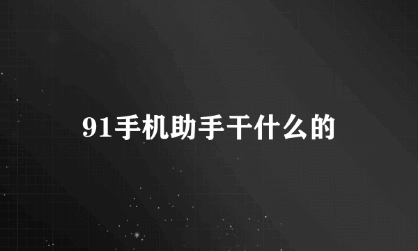 91手机助手干什么的