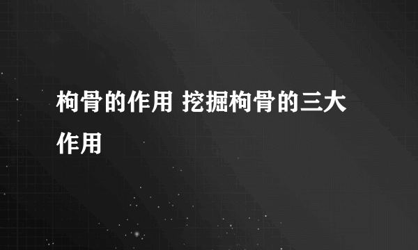 枸骨的作用 挖掘枸骨的三大作用