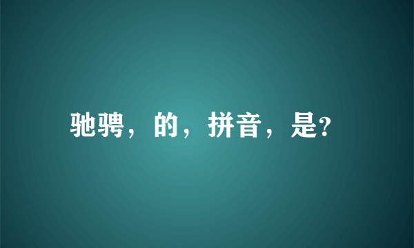 驰骋，的，拼音，是？