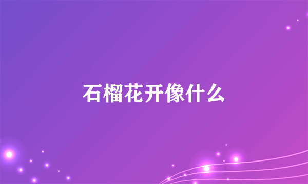 石榴花开像什么