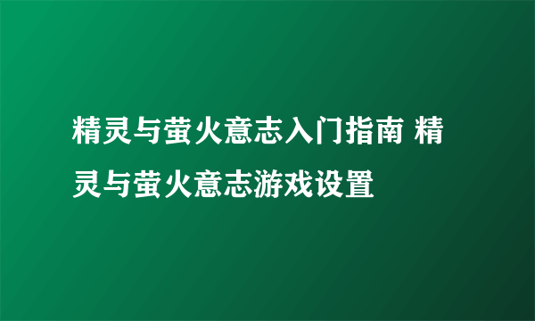 精灵与萤火意志入门指南 精灵与萤火意志游戏设置