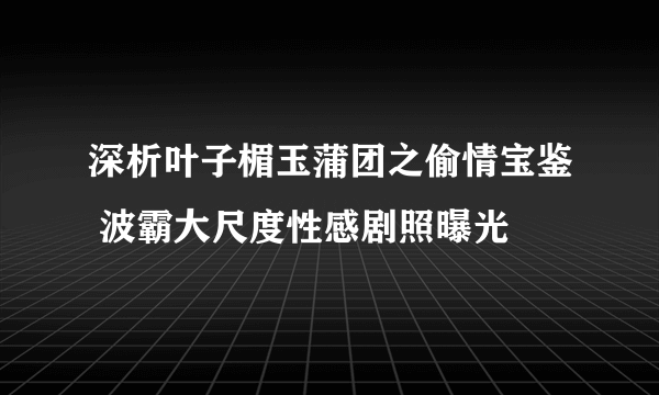 深析叶子楣玉蒲团之偷情宝鉴 波霸大尺度性感剧照曝光