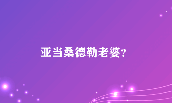 亚当桑德勒老婆？