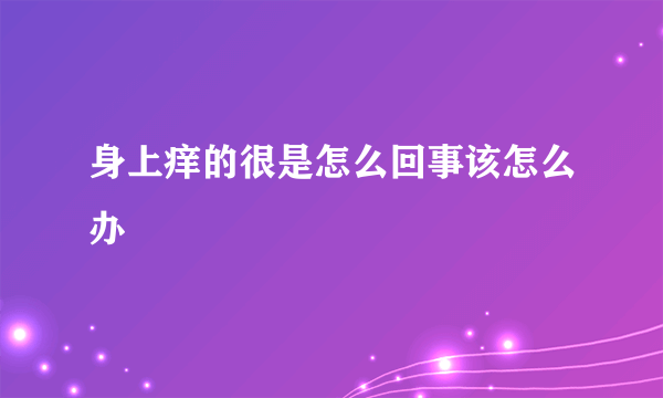 身上痒的很是怎么回事该怎么办