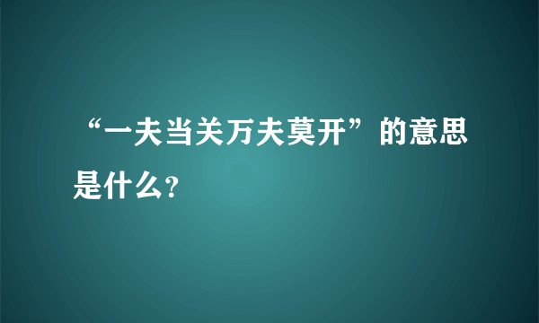 “一夫当关万夫莫开”的意思是什么？