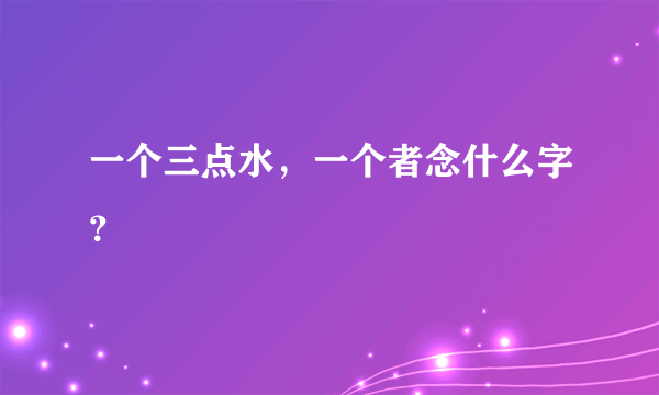 一个三点水，一个者念什么字？