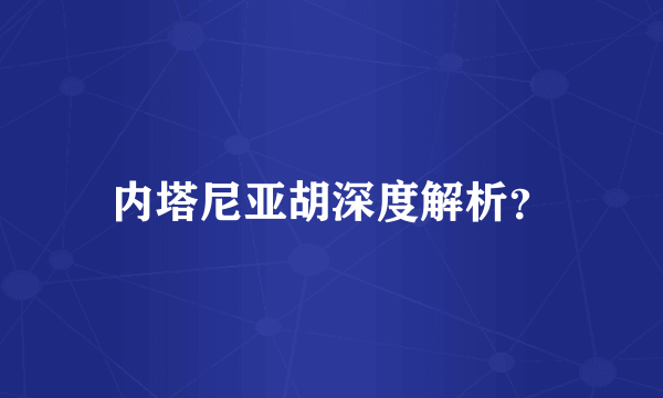 内塔尼亚胡深度解析？