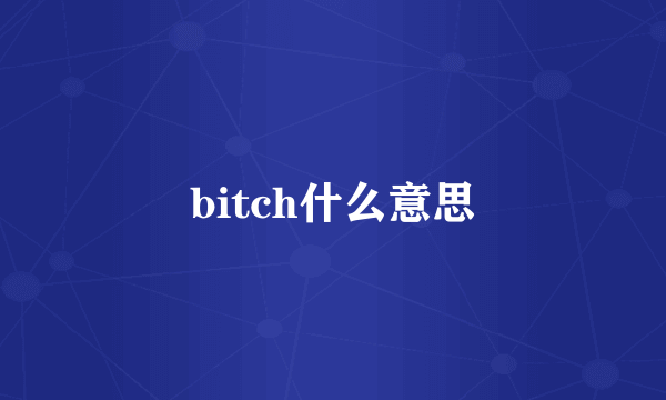 bitch什么意思