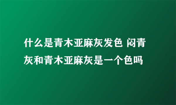 什么是青木亚麻灰发色 闷青灰和青木亚麻灰是一个色吗