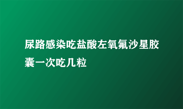 尿路感染吃盐酸左氧氟沙星胶囊一次吃几粒