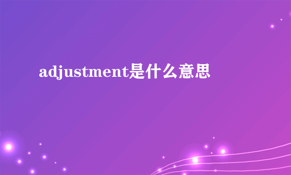 adjustment是什么意思