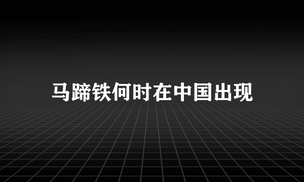 马蹄铁何时在中国出现