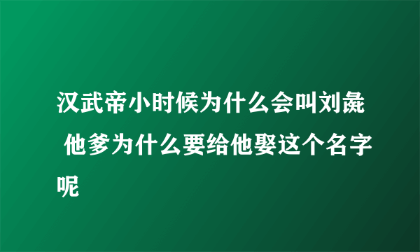 汉武帝小时候为什么会叫刘彘 他爹为什么要给他娶这个名字呢