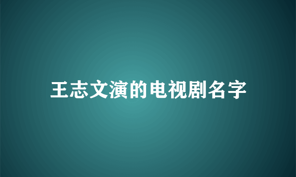 王志文演的电视剧名字