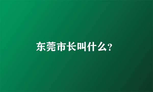 东莞市长叫什么？