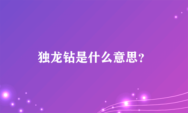 独龙钻是什么意思？