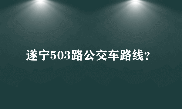 遂宁503路公交车路线？