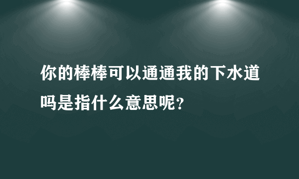 你的棒棒可以通通我的下水道吗是指什么意思呢？