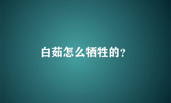 白茹怎么牺牲的？