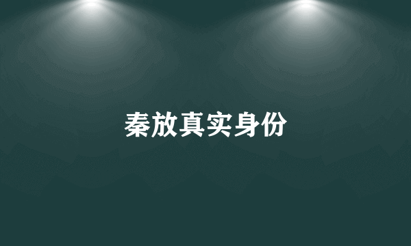 秦放真实身份