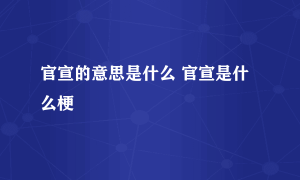 官宣的意思是什么 官宣是什么梗