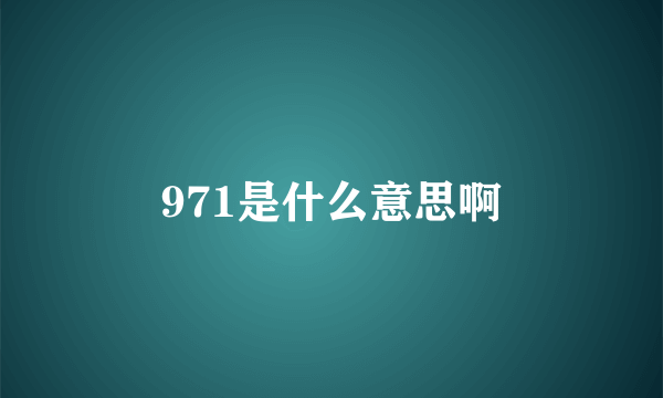 971是什么意思啊