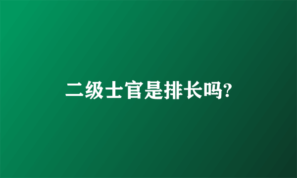 二级士官是排长吗?