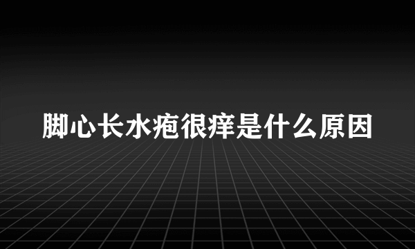 脚心长水疱很痒是什么原因