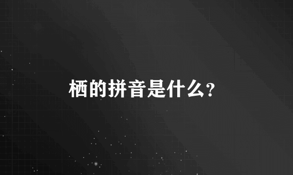 栖的拼音是什么？