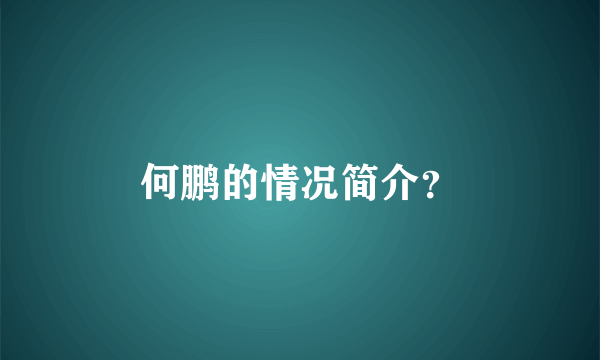 何鹏的情况简介？