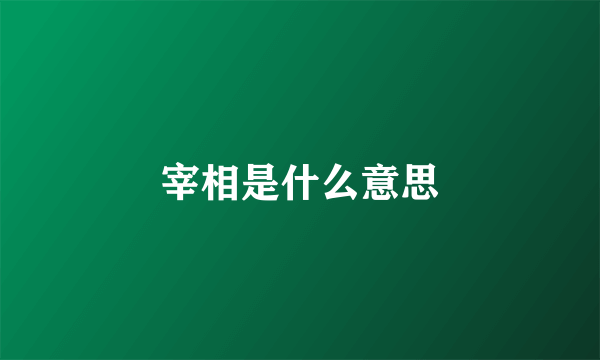 宰相是什么意思