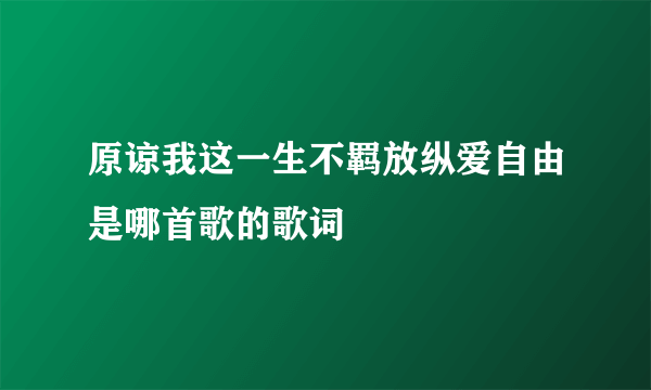 原谅我这一生不羁放纵爱自由是哪首歌的歌词