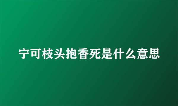 宁可枝头抱香死是什么意思