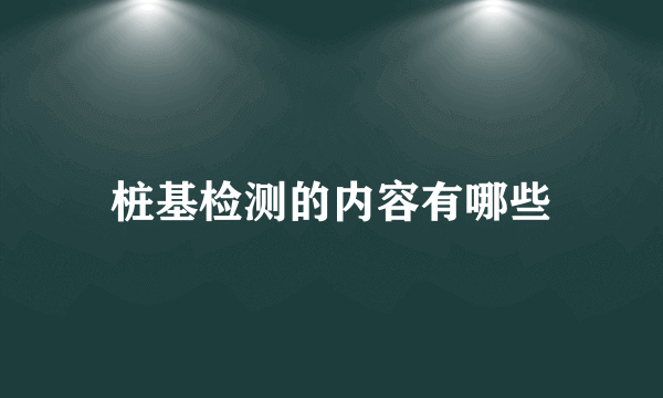 桩基检测的内容有哪些