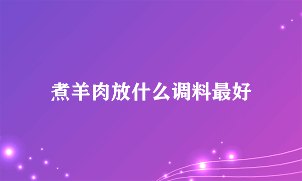 煮羊肉放什么调料最好