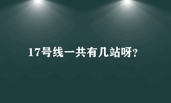 17号线一共有几站呀？