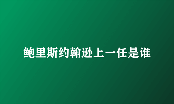 鲍里斯约翰逊上一任是谁