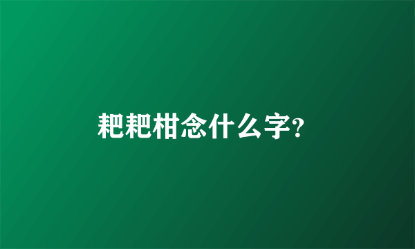 耙耙柑念什么字？